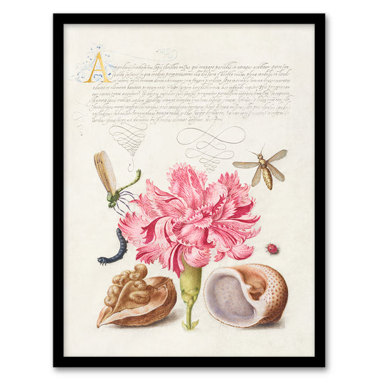 Model Book of Calligraphy Framed Wall Art Carnation Walnut and Mollusk