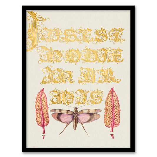 Model Book of Calligraphy Framed Wall Art Chard and Red Winged Grasshopper