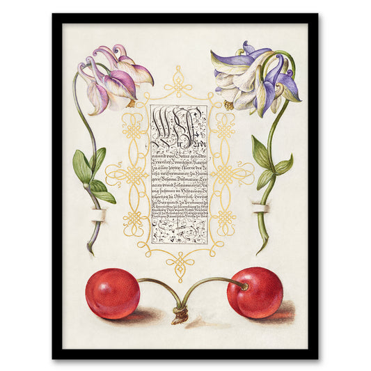 Model Book of Calligraphy Framed Wall Art Columbines and Sweet Cherries