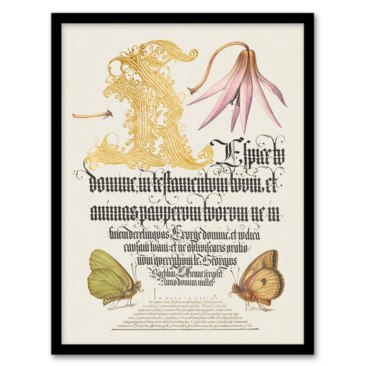 Model Book of Calligraphy Framed Wall Art Dog Tooth Violet and Butterflies