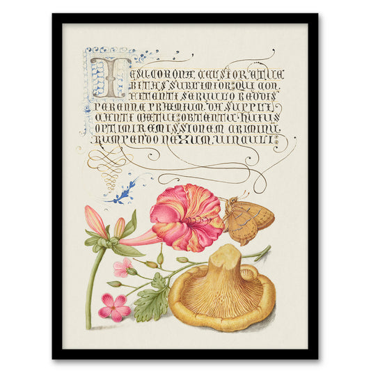 Model Book of Calligraphy Framed Wall Art Flowers Mushroom and Butterfly