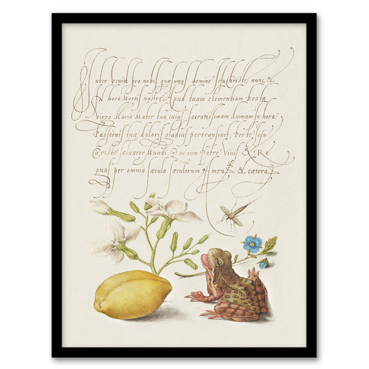 Model Book of Calligraphy Framed Wall Art Gillyflower Almond and Frog Home Décor