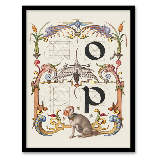 Model Book of Calligraphy Framed Wall Art Pictorial Letter Guide O And P