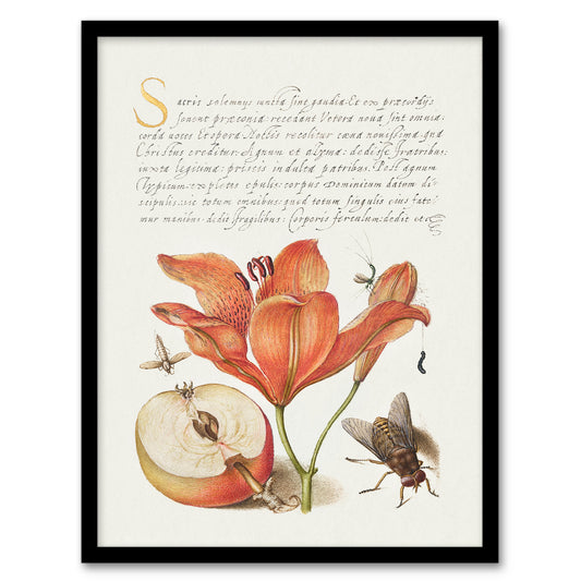 Model Book of Calligraphy Framed Wall Art Insects Orange Lily and Apple