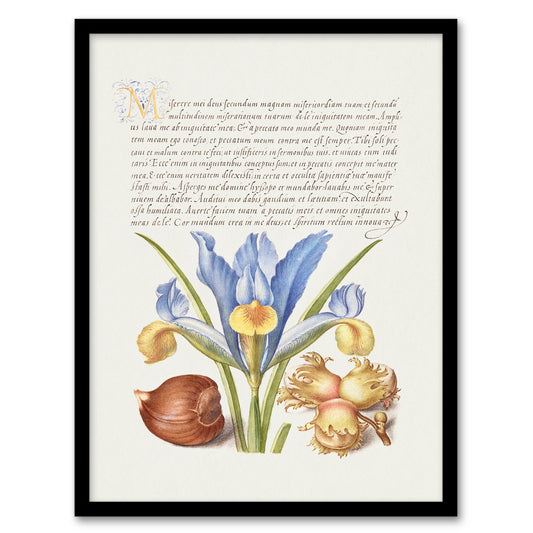 Model Book of Calligraphy Framed Wall Art Iris Flower and Hazelnut Home Décor