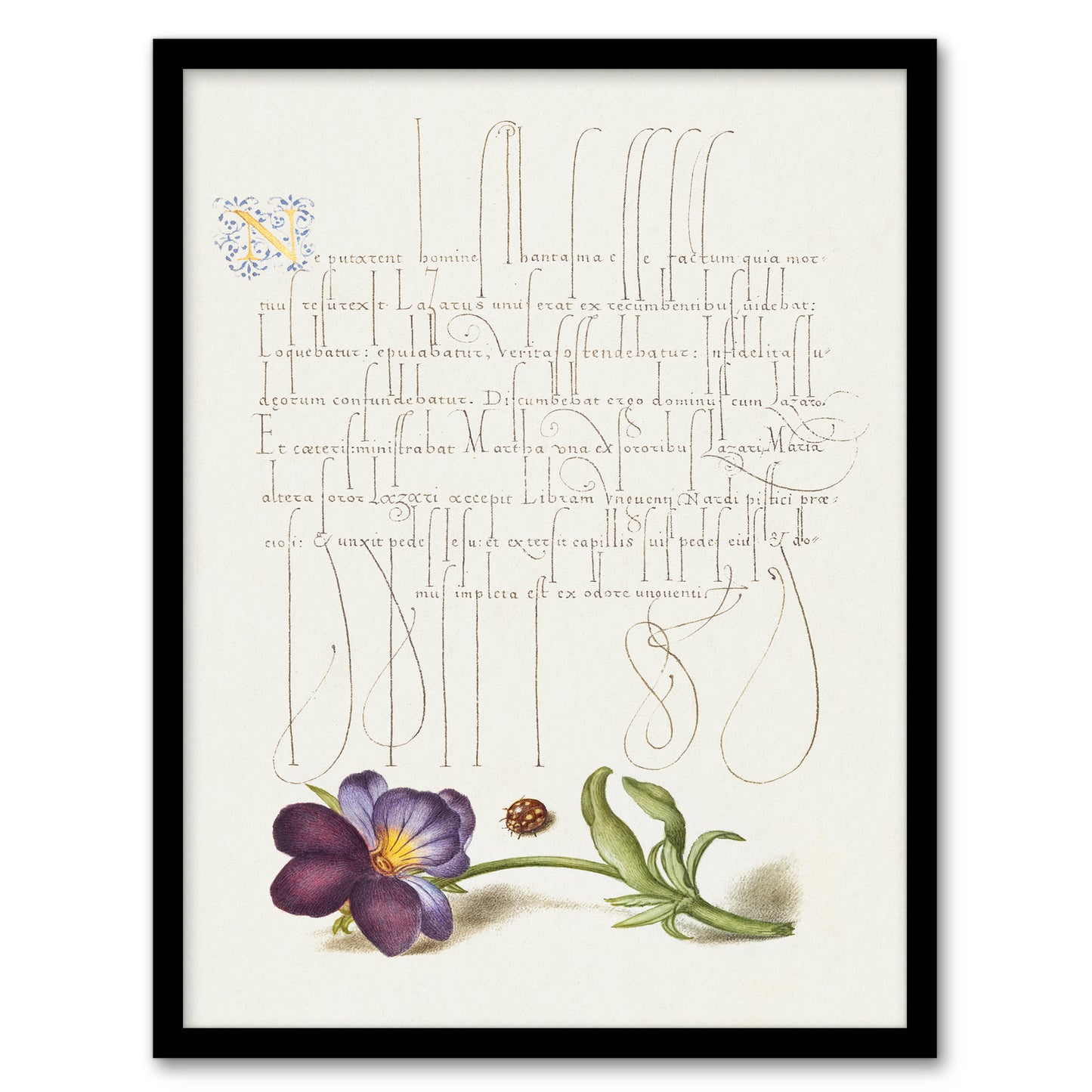 Model Book of Calligraphy Framed Wall Art Ladybird and Wild Pansy Home Décor