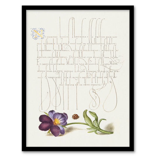 Model Book of Calligraphy Framed Wall Art Ladybird and Wild Pansy Home Décor