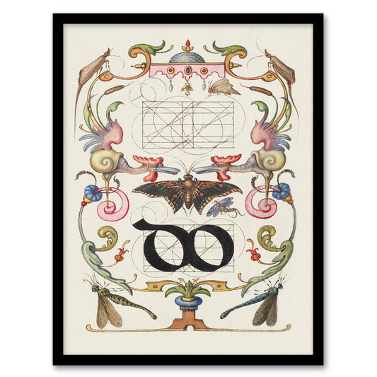 Model Book of Calligraphy Framed Wall Art Ligature Guide with Butterfly