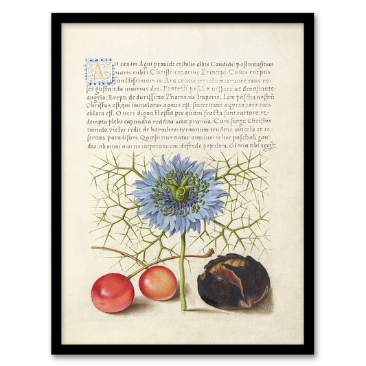 Model Book of Calligraphy Framed Wall Art Love in a Mist and Cherries Home Décor