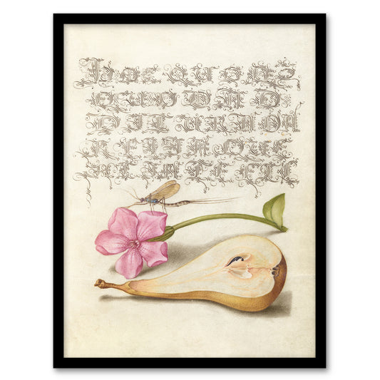 Model Book of Calligraphy Framed Wall Art Mayfly Red Campion and Pear Home Décor