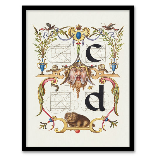 Model Book of Calligraphy Framed Wall Art Pictoral Letter Guide C And D