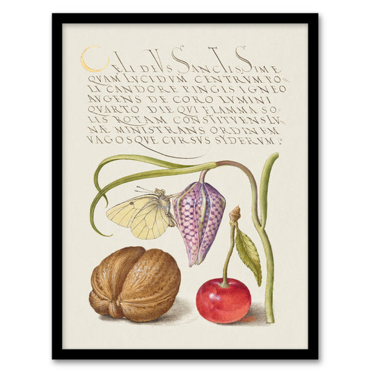 Model Book of Calligraphy Framed Wall Art Snakeshead Walnut and Cherry