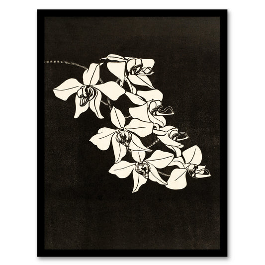 Samuel J De Mesquita Framed Wall Art Black and White Orchid Flower Home Décor