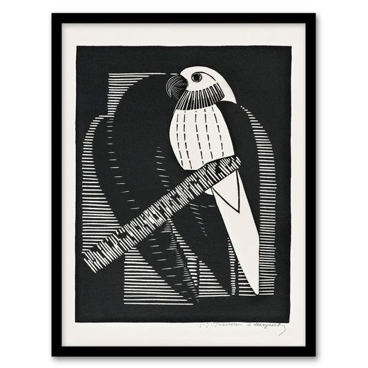 Samuel J De Mesquita Framed Wall Art Print Stylised Parakeet Birds Home Décor