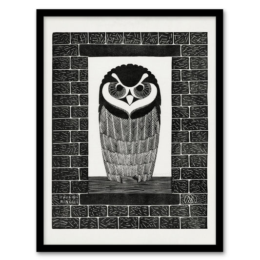 Samuel J De Mesquita Framed Wall Art Ringuil Owl Bird on a Window Home Décor