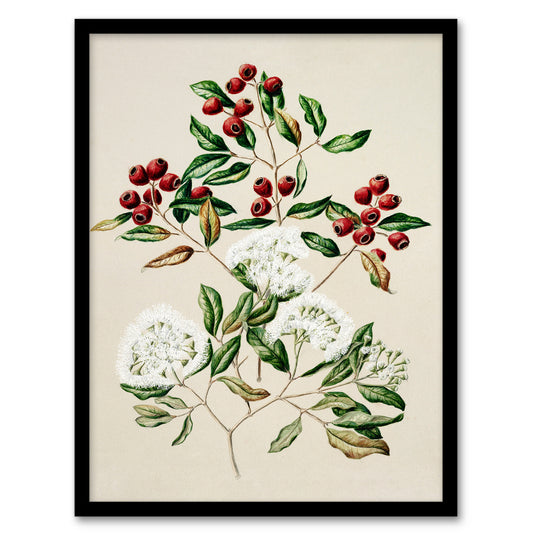 Sarah Featon Framed Wall Art New Zealand Maire Tawake Tree Flowers Home Décor