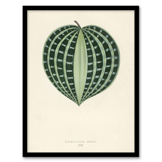Vintage Botanical Seersucker Plant Leaf Fawcett Framed Wall Art Print