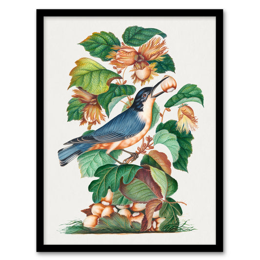 Nuthatch Bird Hazel Oak and Bramble Bolton Framed Wall Art Print