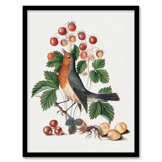 Robin Bird and Wild Strawberry Plant Bolton Framed Wall Art Print
