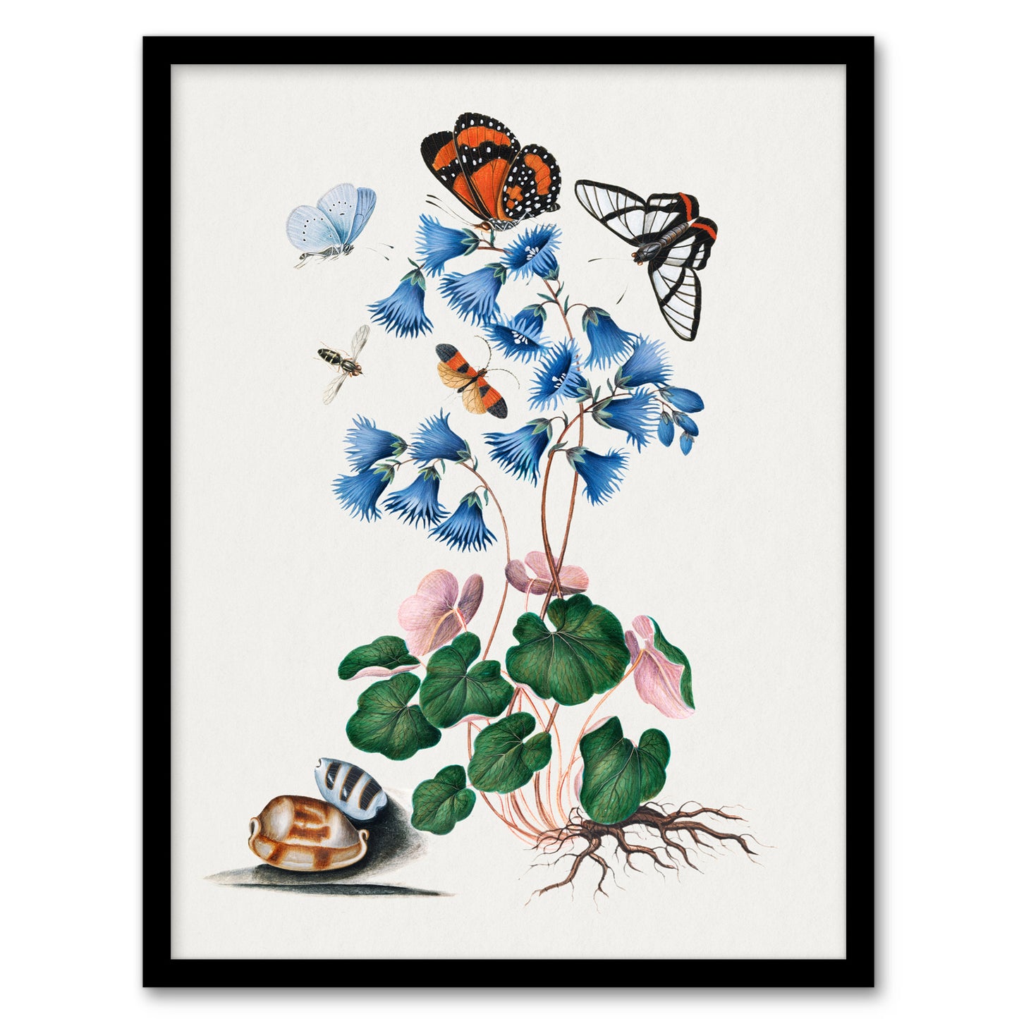 Soldanella Flower and Butterflies Bolton Framed Wall Art Print