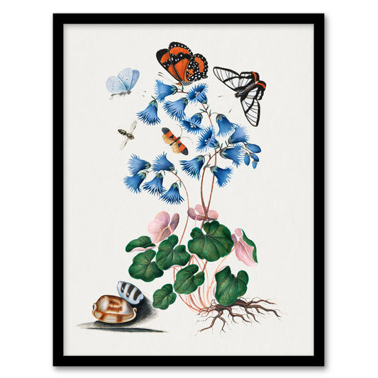 Soldanella Flower and Butterflies Bolton Framed Wall Art Print
