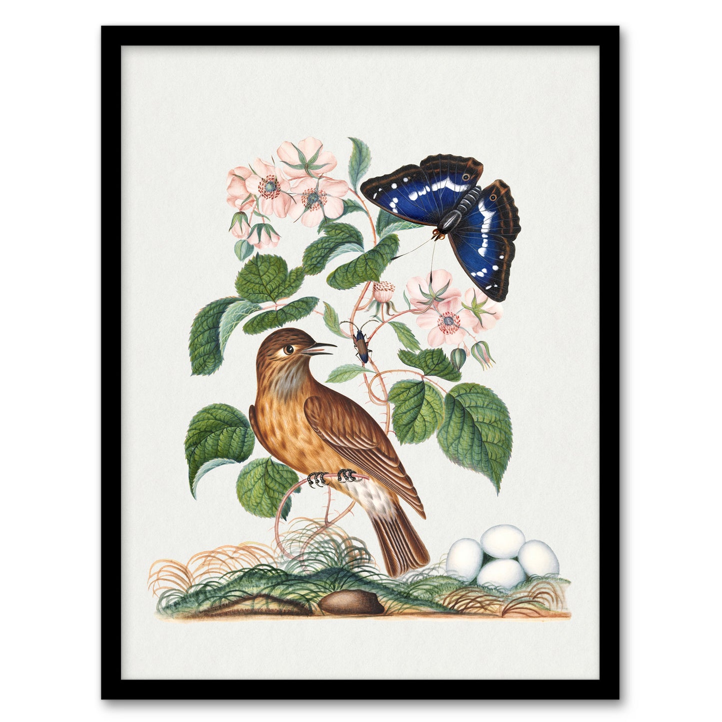 Spotted Flycatcher and Purple Emperor Bolton Framed Wall Art Print