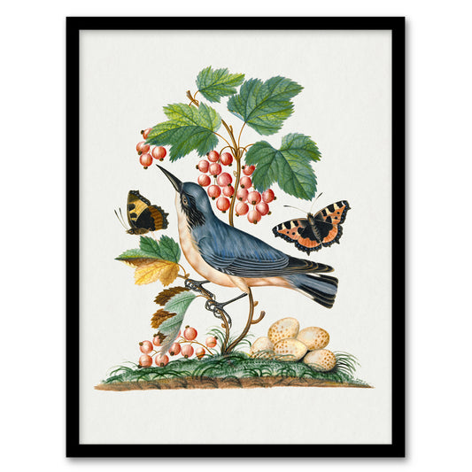 Warbler Bird and Red Admiral Butterfly Bolton Framed Wall Art Print