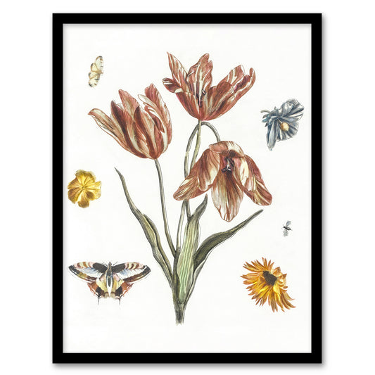 Flowers Butterflies And A Fly Johan Teyler Framed Wall Art Print