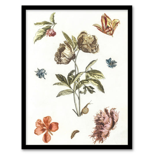 Flowers Snail and a Caterpillar Johan Teyler Framed Wall Art Print