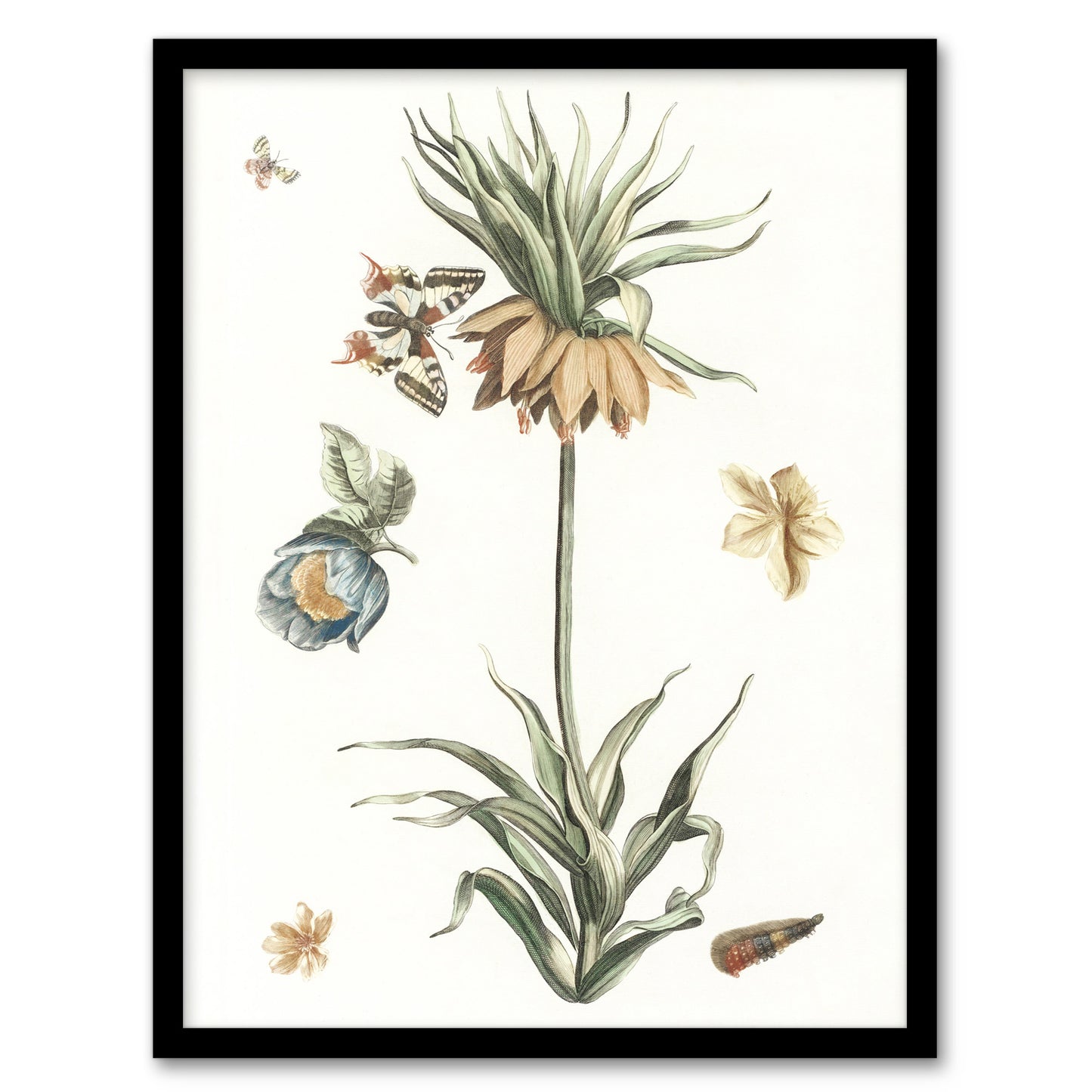 Keizerskroon Tulip and Butterfly Teyler Framed Wall Art Print