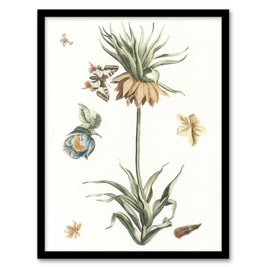 Keizerskroon Tulip and Butterfly Teyler Framed Wall Art Print