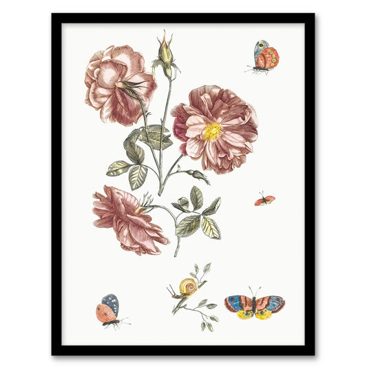Rose Flowers Butterflies and a Snail Teyler Framed Wall Art Print