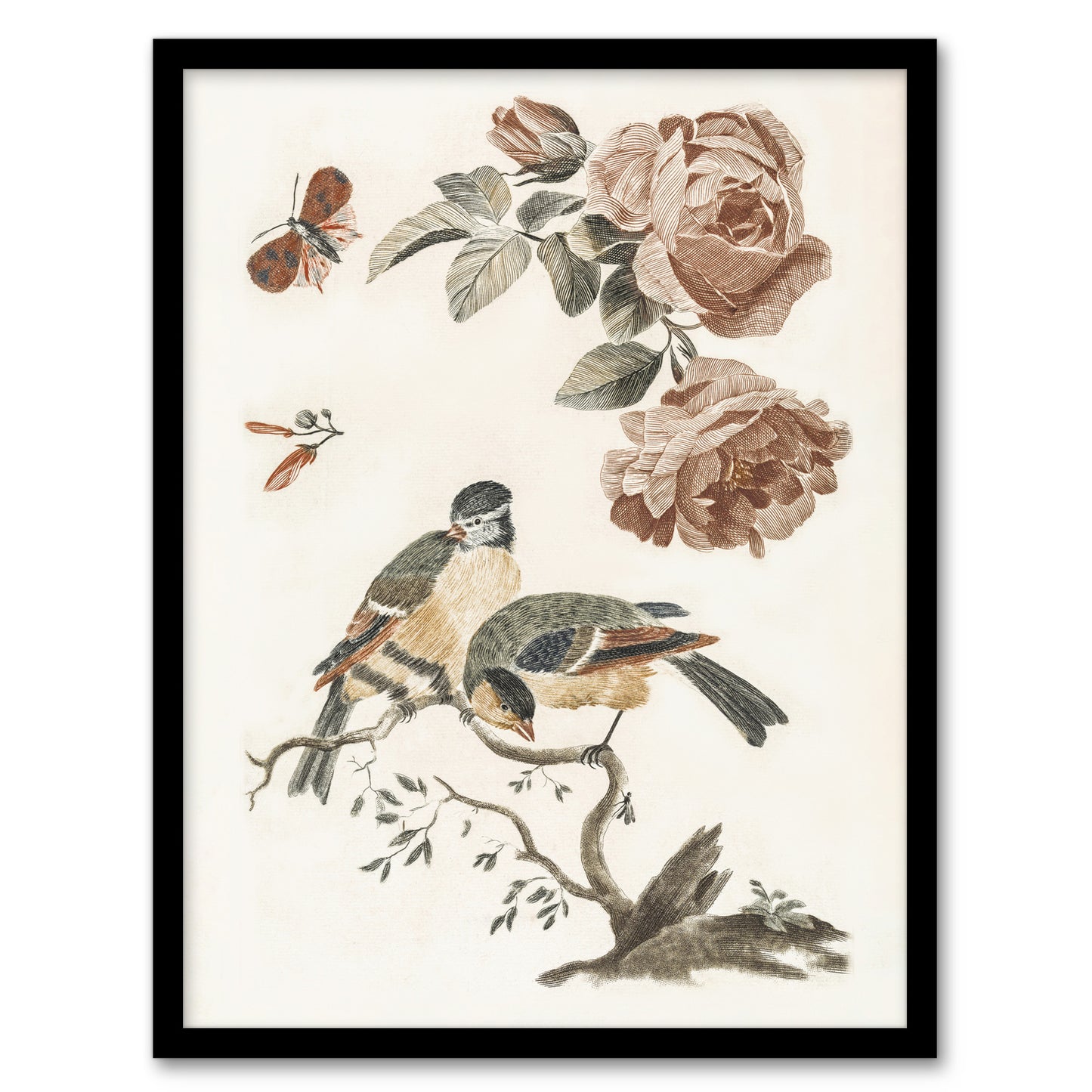 Roses Butterfly A Blue and Great Tit Teyler Framed Wall Art Print