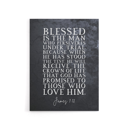 James 1 12 Persevere Stood The Test Bible Quote Canvas Wall Art Print