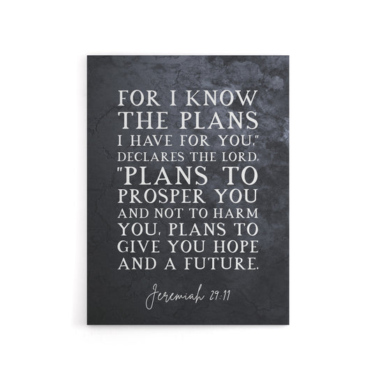Jeremiah 29 11 I Know The Plans Have Bible Quote Canvas Wall Art Print