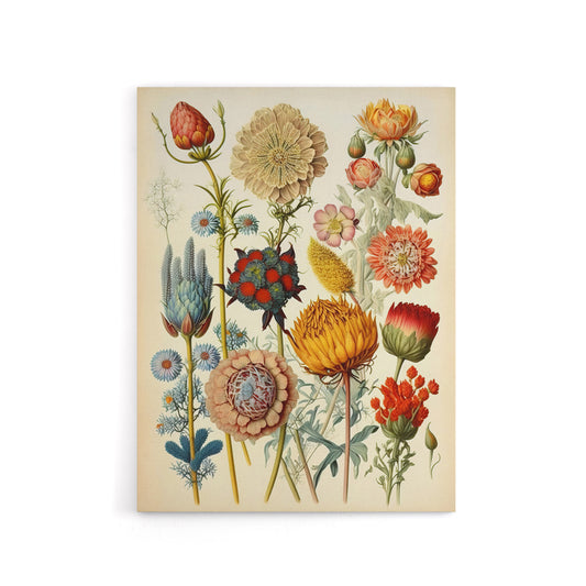 Ernst Haeckel Inspired Vintage Floral Canvas Wall Art Print