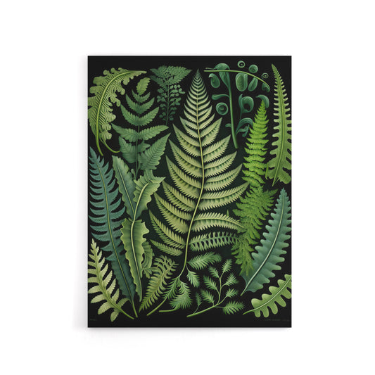 Ernst Haeckel Inspired Fern Leaf Fronds Canvas Wall Art Print