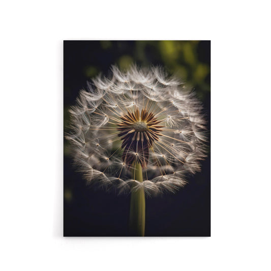 Dandelion Flower Pappus Macro Canvas Wall Art Print