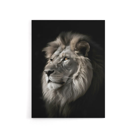 Strong Majestic Lion Head Photo Canvas Wall Art Print