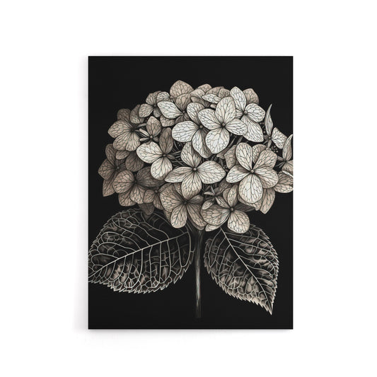 Hydrangea Flower Bloom Black White Canvas Wall Art Print