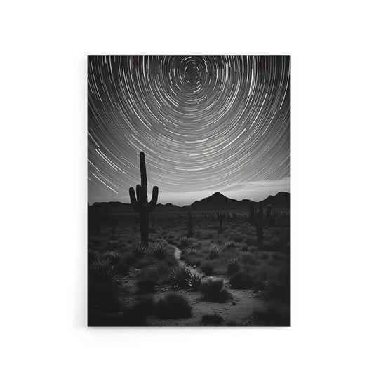 Night Sky Stars Time Lapse Over Desert Cactus Canvas Wall Art Print