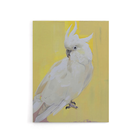 White Cockatoo Parrot Bird Canvas Wall Art Print