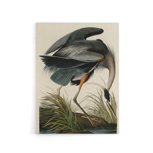 Audubon Birds Great Heron Painting Canvas Wall Art Print