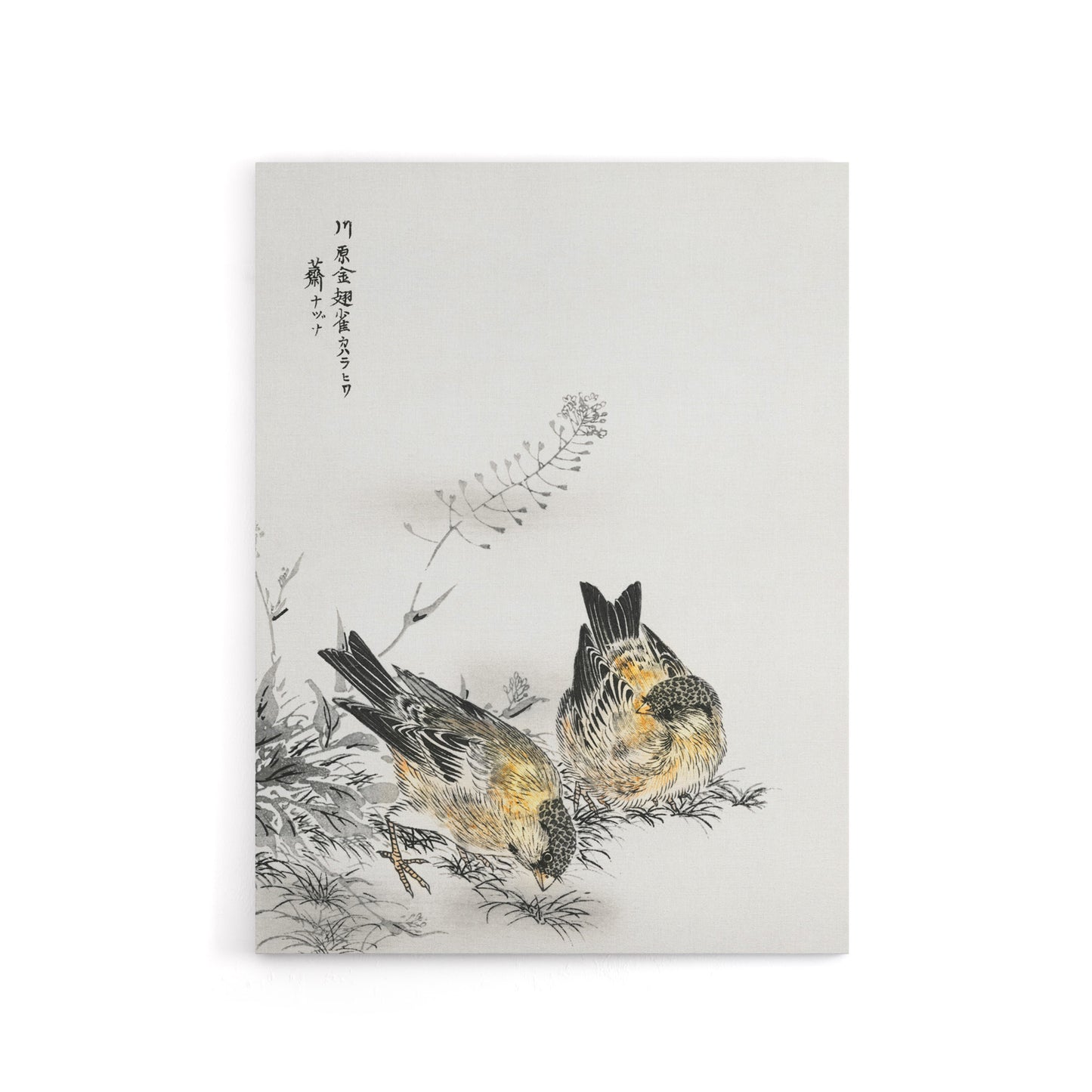 Greenfinch and Shepherd's Purse Plant Canvas Wall Art Print Kashu