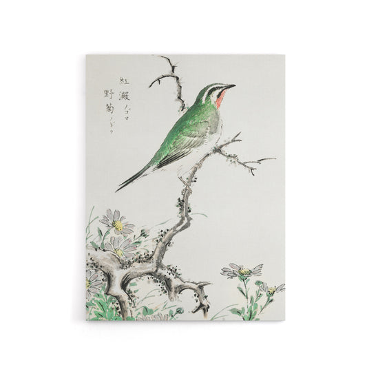 Ruby Throat Bird and Wild Camomile Canvas Wall Art Print Kashu