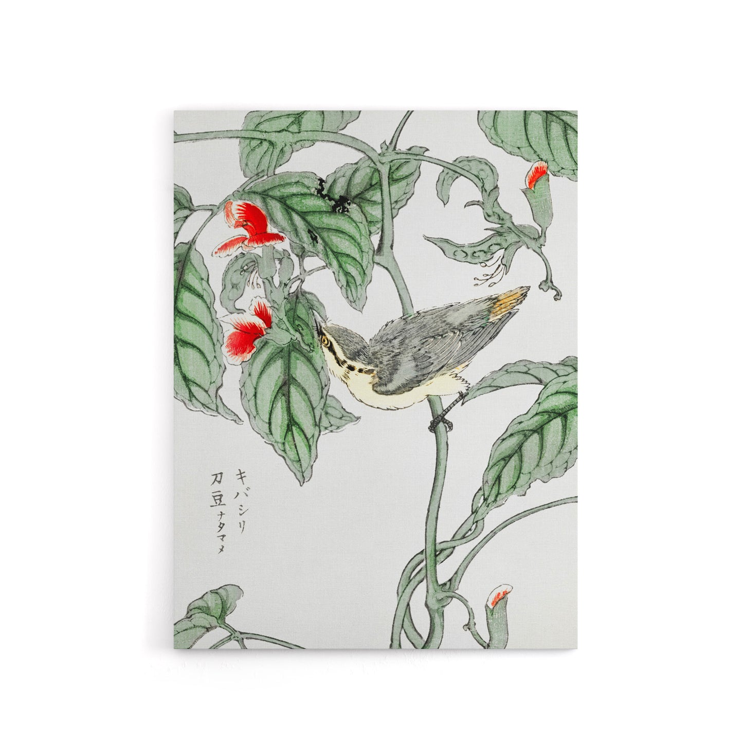Tree Creeper and Pea Japanese Canvas Wall Art Print Kashu