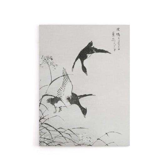 Tufted Duck and Reed Flower Japanese Canvas Wall Art Print Kashu