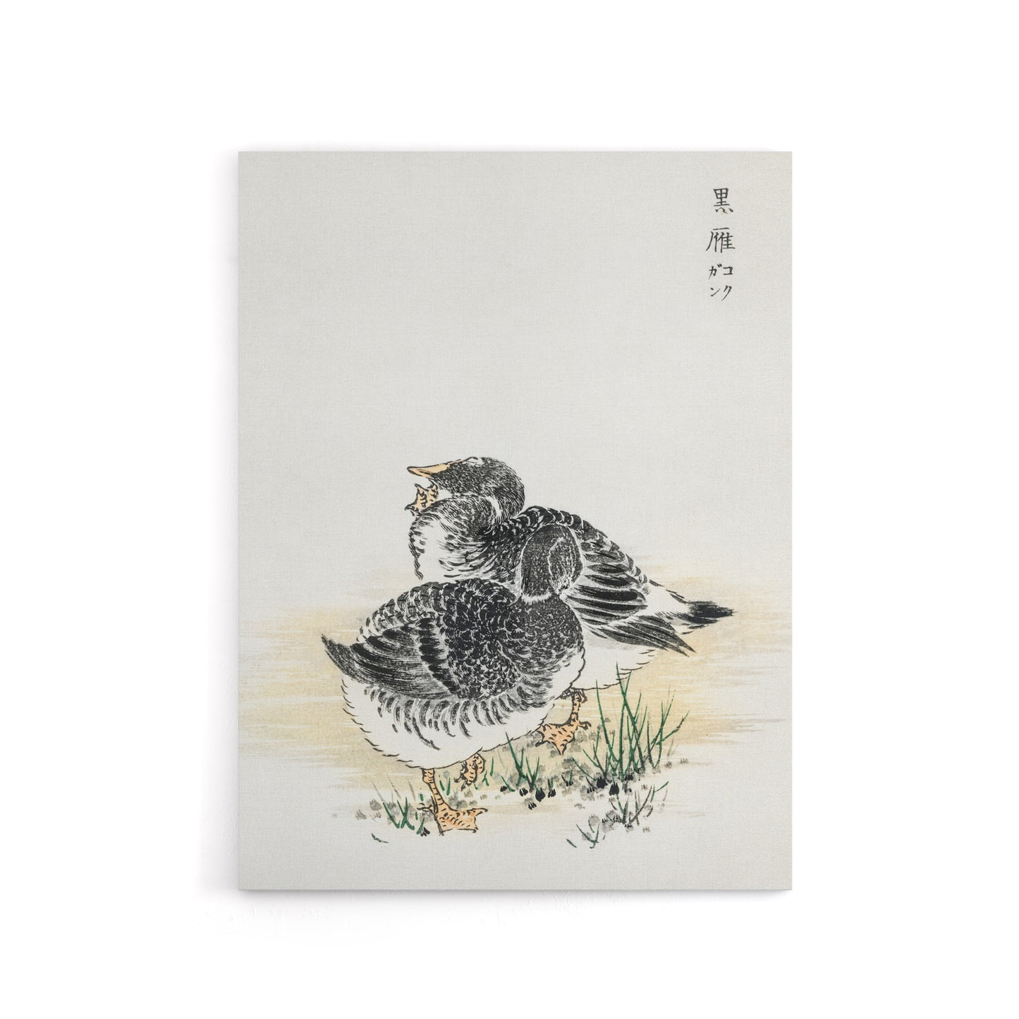 Black Brant Geese Pictorial Birds Canvas Wall Art Print Kashu