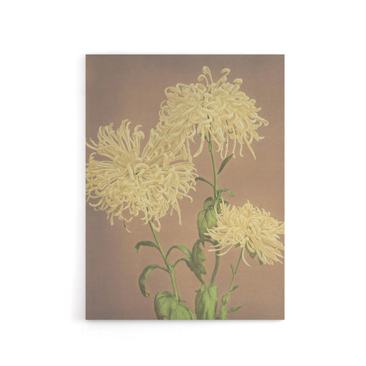 Three Yellow Chrysanthemums Canvas Wall Art Print Ogawa Kazumasa