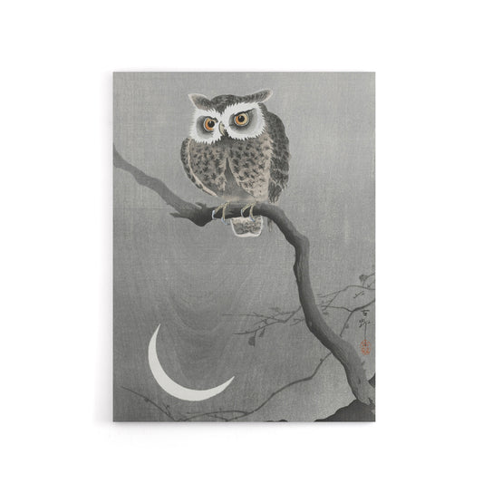 Long Eared Owl On Tree Branch Canvas Wall Art Print Ohara Koson